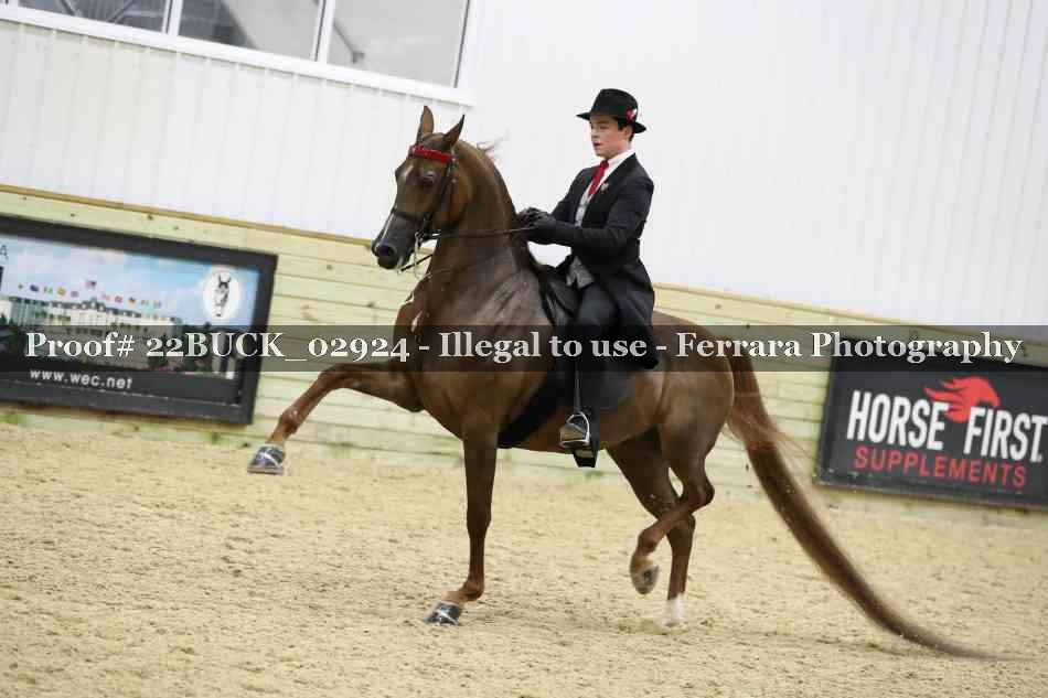 Proof 22BUCK_02924