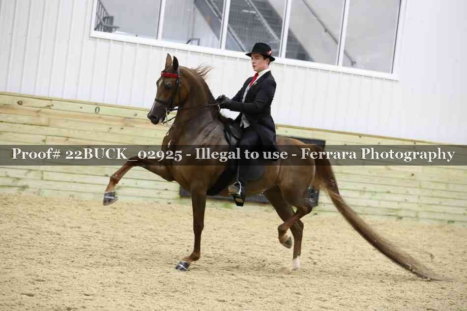 Proof 22BUCK_02925