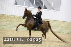 22BUCK_02925 proof