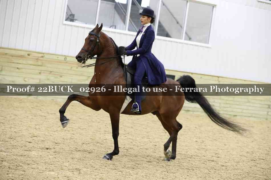 Proof 22BUCK_02926