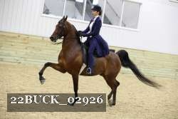 22BUCK_02926 proof