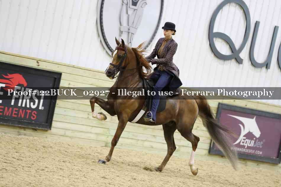 Proof 22BUCK_02927