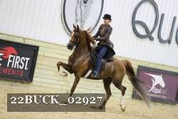 22BUCK_02927 proof