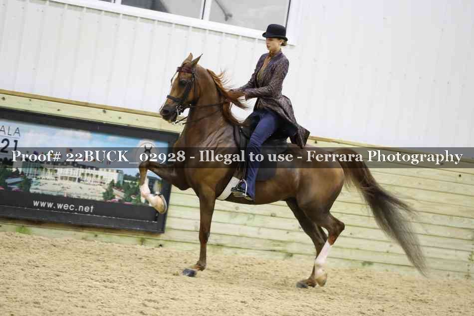 Proof 22BUCK_02928