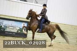 22BUCK_02928 proof