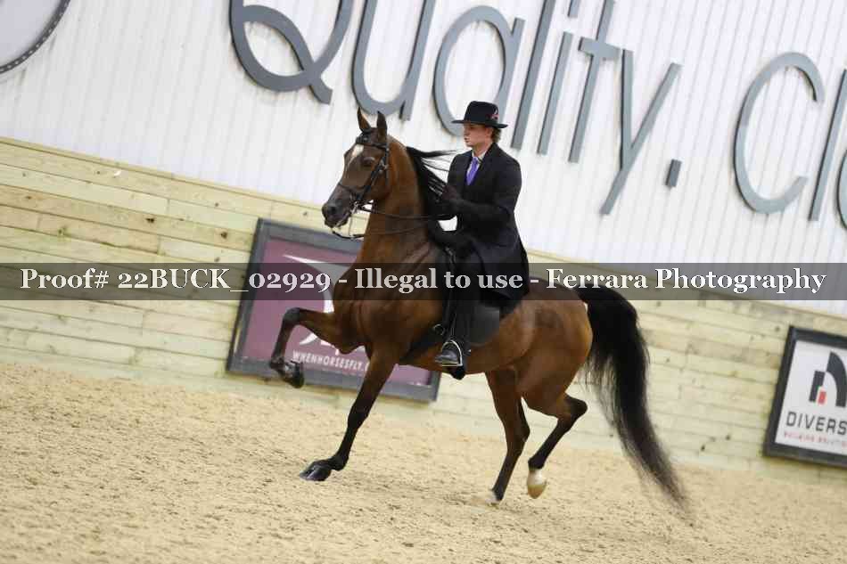 Proof 22BUCK_02929