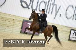 22BUCK_02929 proof