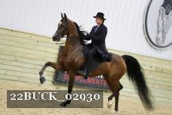 22BUCK_02930 proof