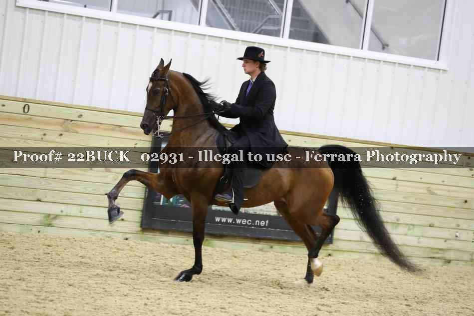Proof 22BUCK_02931