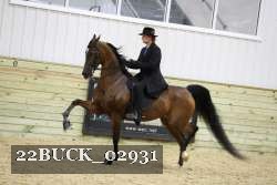 22BUCK_02931 proof