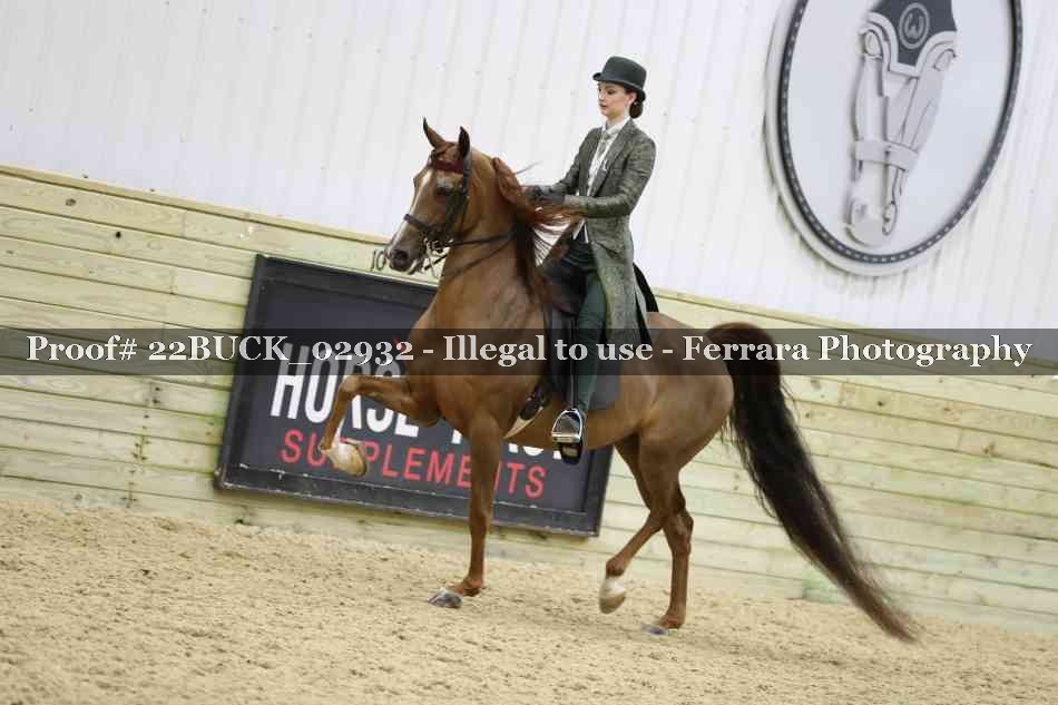 Proof 22BUCK_02932