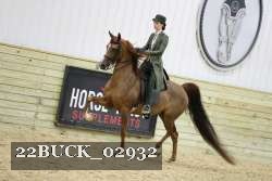 22BUCK_02932 proof