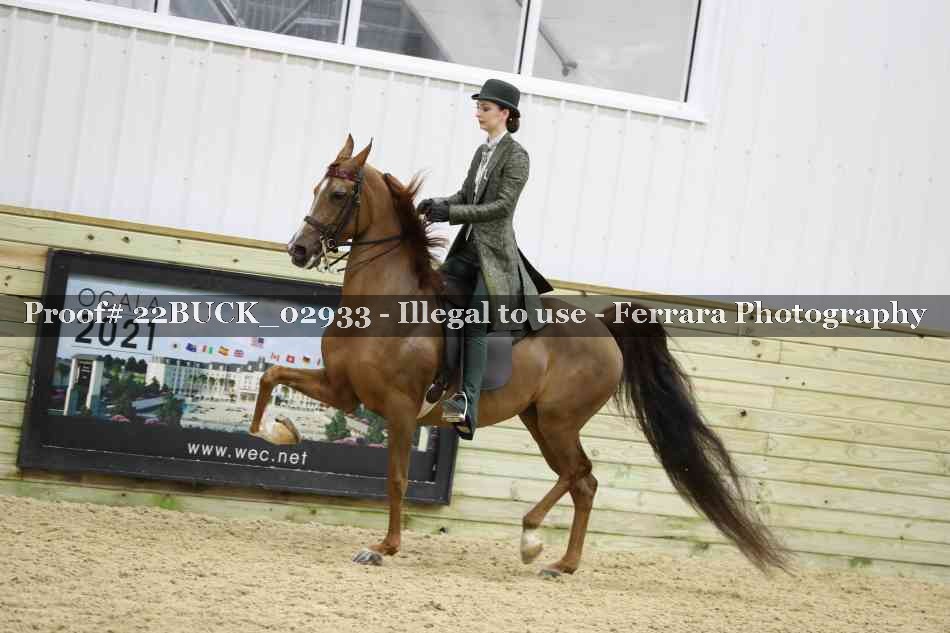 Proof 22BUCK_02933