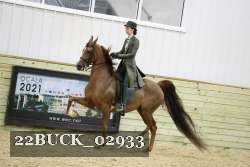 22BUCK_02933 proof