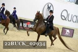 22BUCK_02934 proof