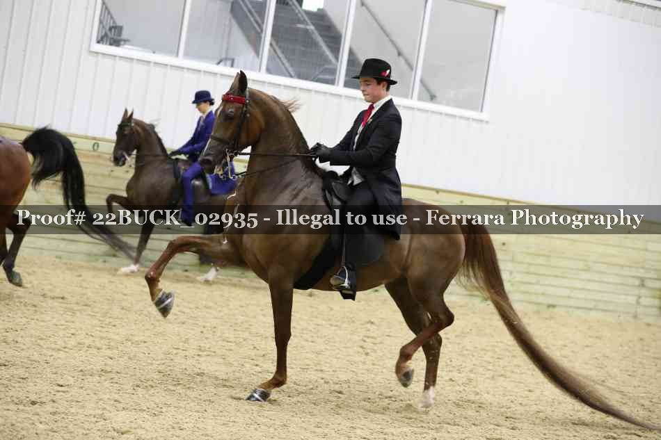 Proof 22BUCK_02935