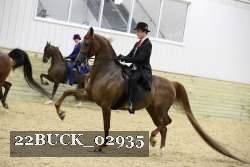 22BUCK_02935 proof
