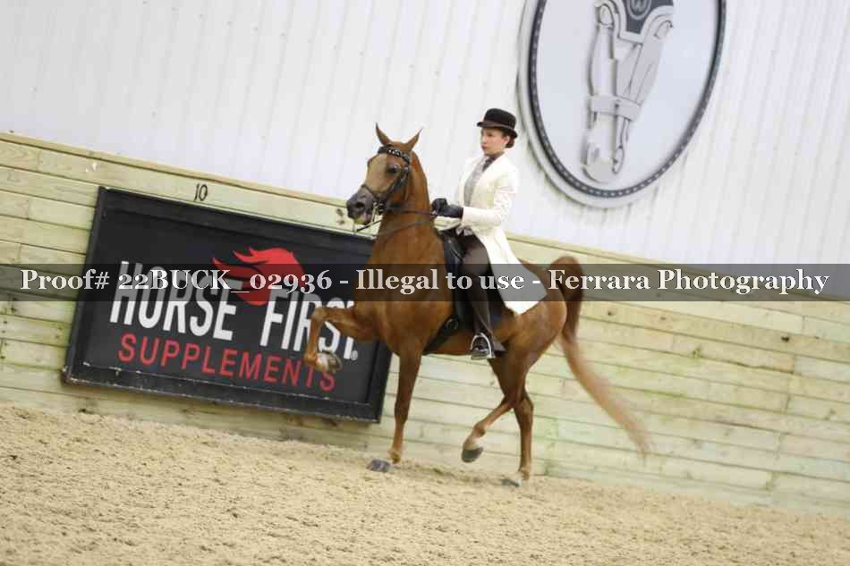 Proof 22BUCK_02936