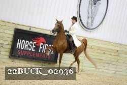 22BUCK_02936 proof