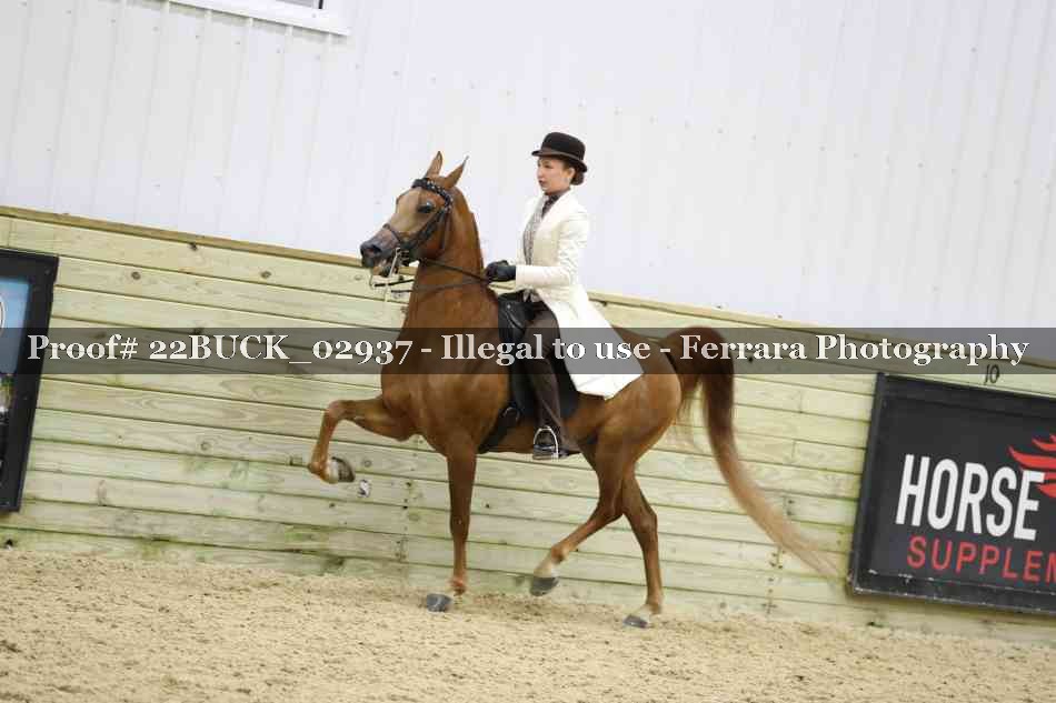 Proof 22BUCK_02937