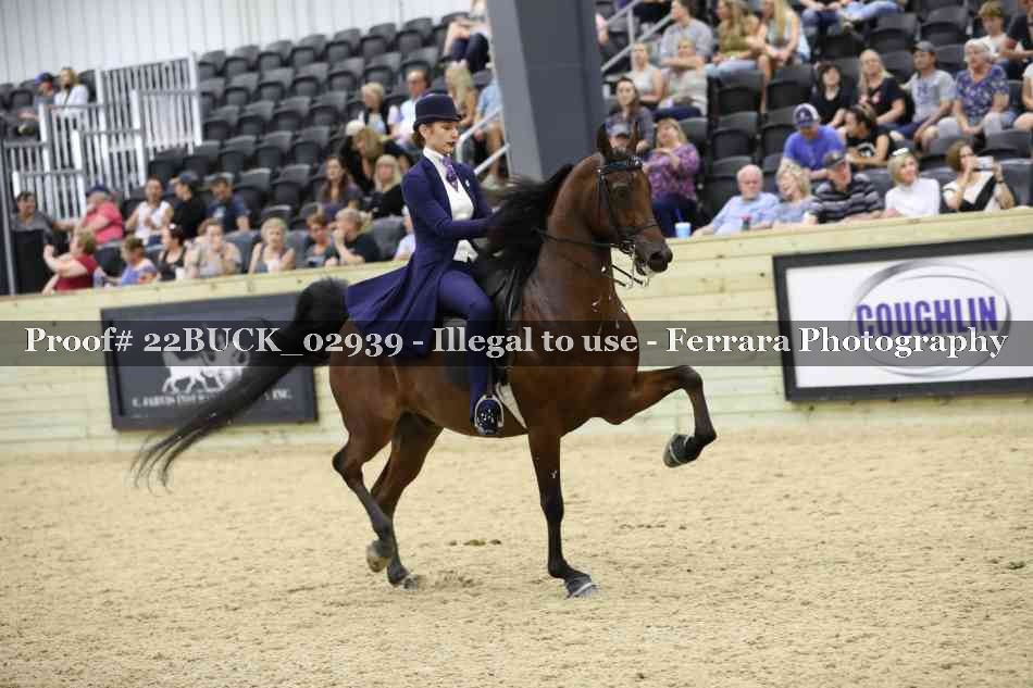 Proof 22BUCK_02939