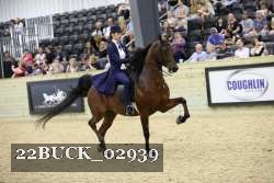 22BUCK_02939 proof