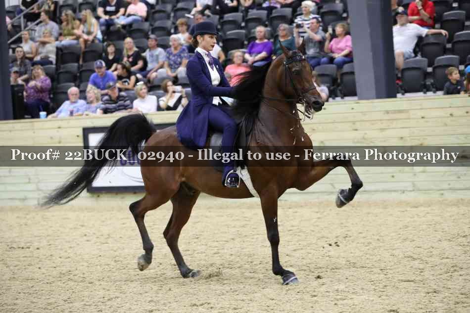 Proof 22BUCK_02940