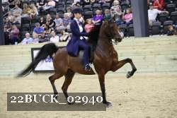 22BUCK_02940 proof