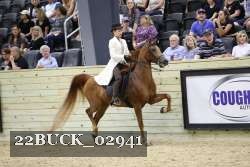 22BUCK_02941 proof