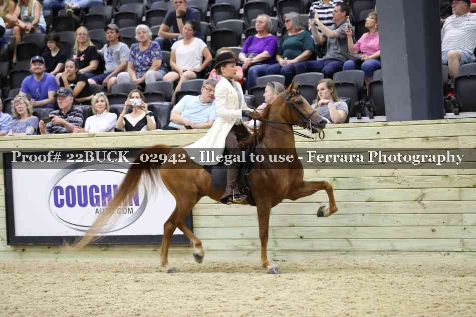 Proof 22BUCK_02942