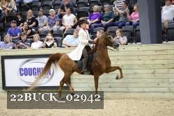 22BUCK_02942 proof