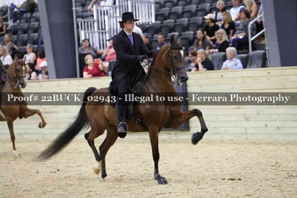 Proof 22BUCK_02943