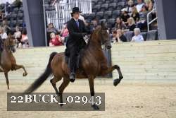 22BUCK_02943 proof
