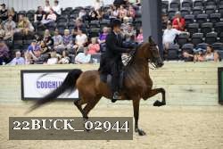 22BUCK_02944 proof