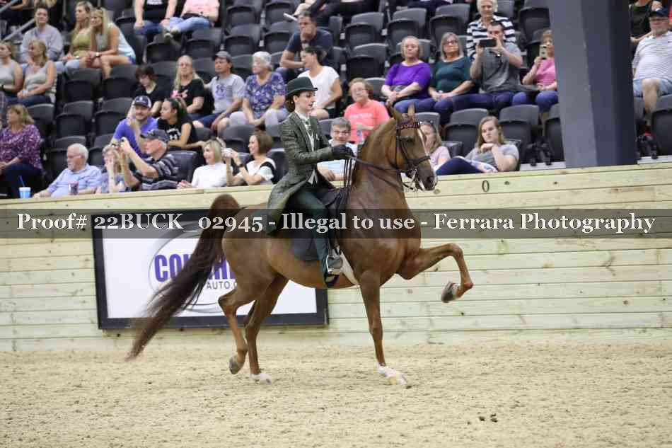 Proof 22BUCK_02945