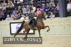 22BUCK_02945 proof