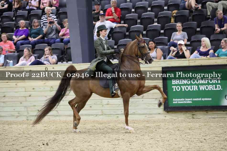 Proof 22BUCK_02946