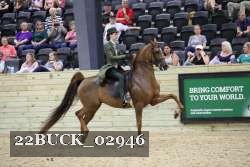 22BUCK_02946 proof