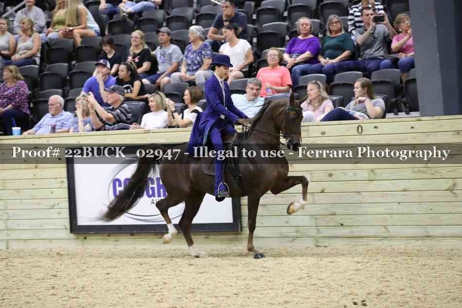 Proof 22BUCK_02947