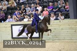 22BUCK_02947 proof