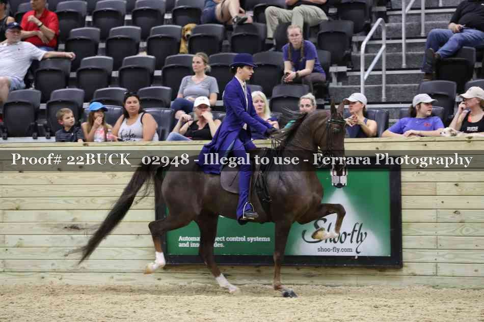 Proof 22BUCK_02948