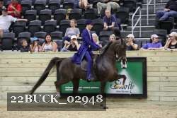 22BUCK_02948 proof