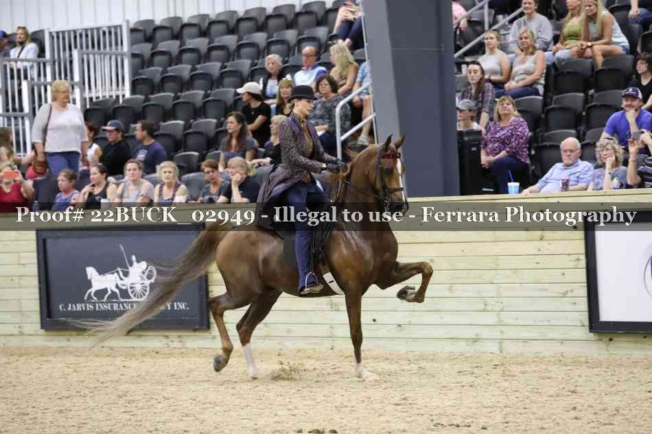 Proof 22BUCK_02949