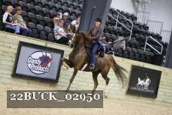 22BUCK_02950 proof