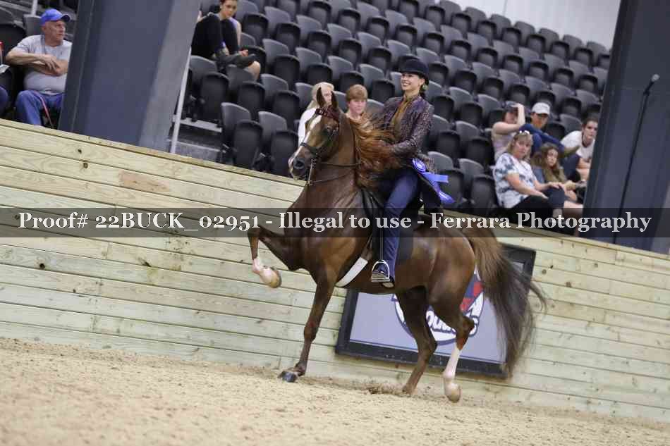 Proof 22BUCK_02951