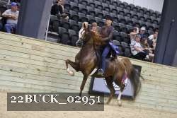 22BUCK_02951 proof