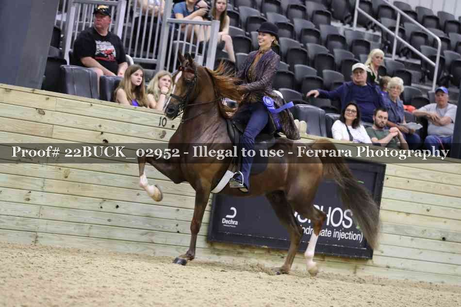 Proof 22BUCK_02952