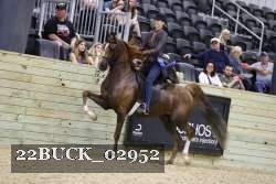 22BUCK_02952 proof