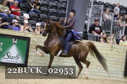 22BUCK_02953 proof