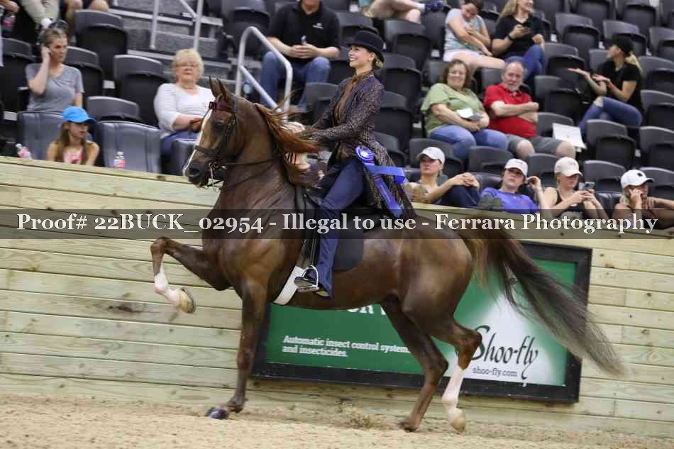 Proof 22BUCK_02954